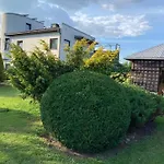 Jaani